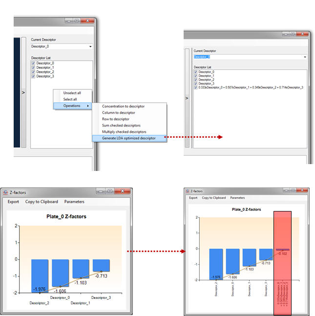 LDA descriptor optimization